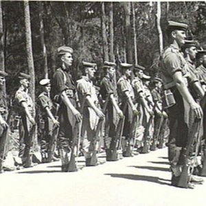 RAN Commandos on parade