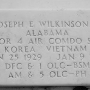 J. Wilkinson (grave)