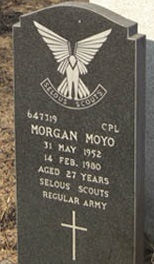 M. Mayo (Grave)