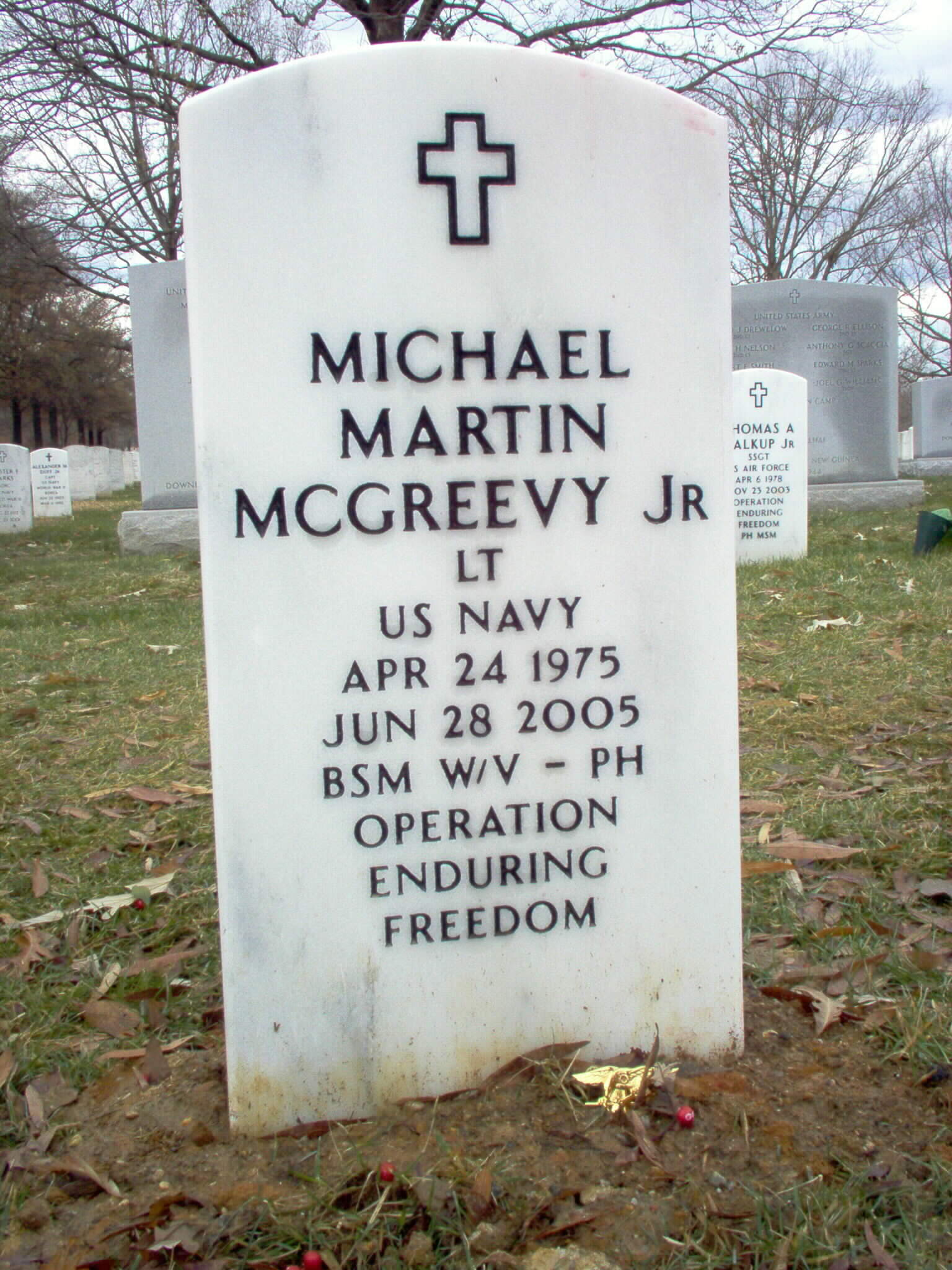M. McGreevy's grave