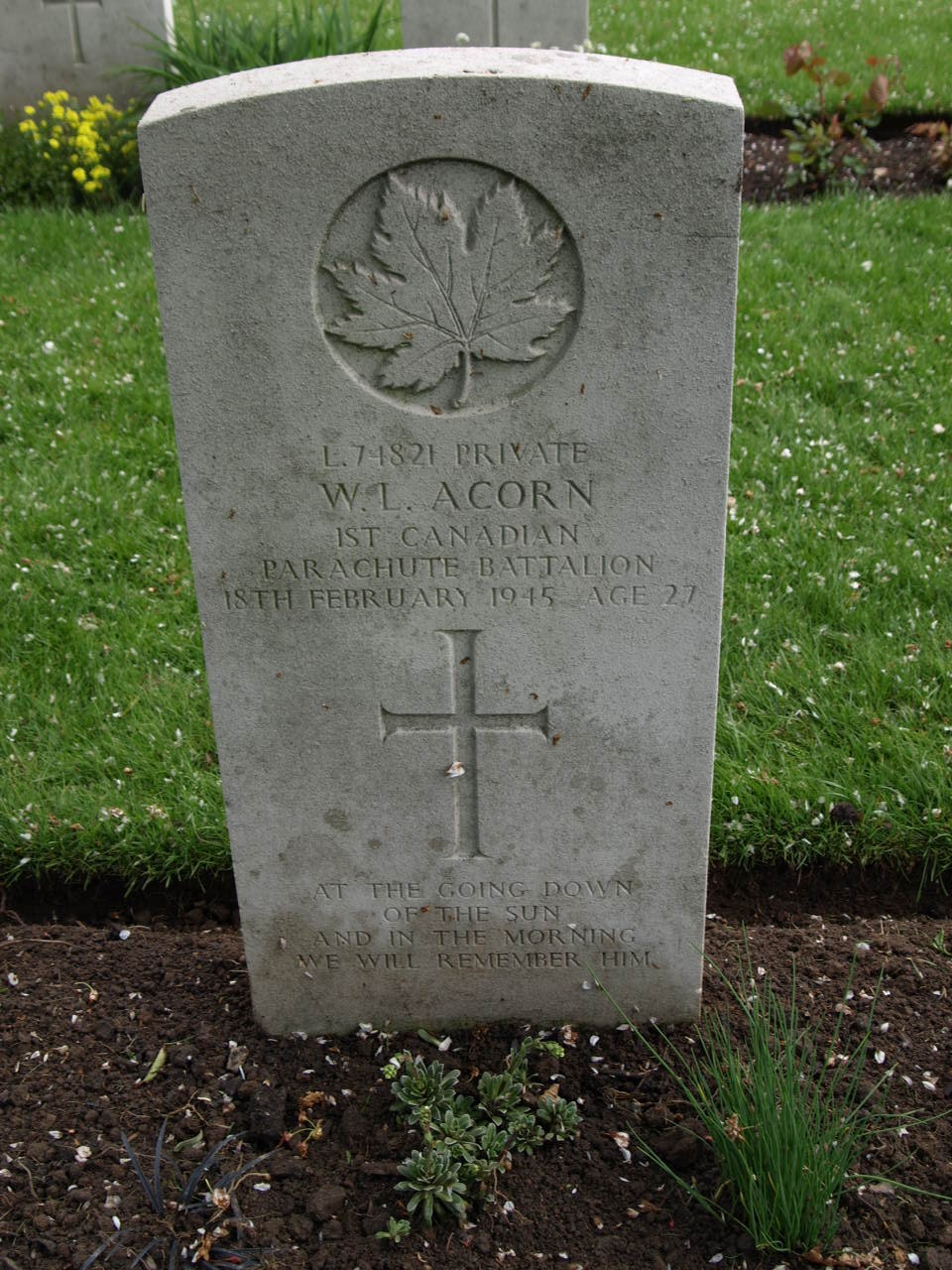 W. Acorn (Grave)