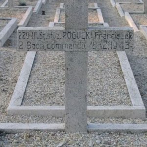 [ARMY CDOS]Franciszek Rogucki