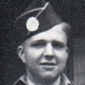 D. Brown