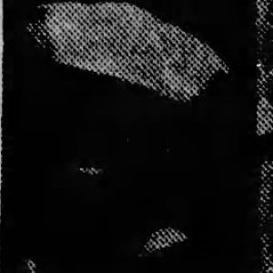 B. Burnett