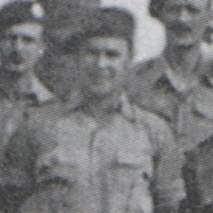 W. Johns