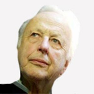 Peregrine Worsthorne