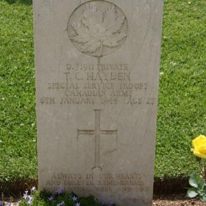 T. Hayden (grave)