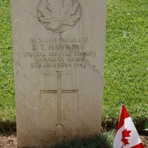 E. Hawkins (grave)