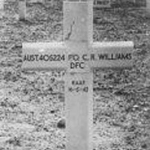 C. Williams (grave)