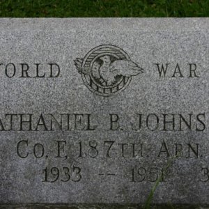 N. Johnson (grave)