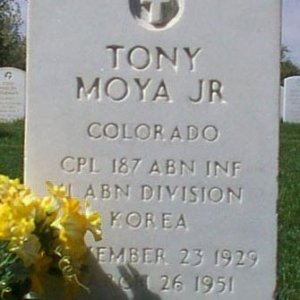 T. Moya (grave)
