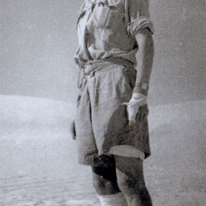 J. Sillito