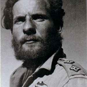 E. McDonald