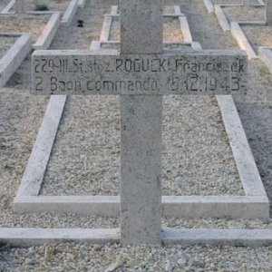 F. Rogucki (grave)
