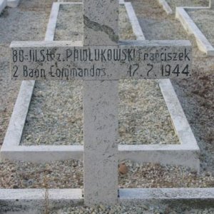 F. Pawlukowski (grave)