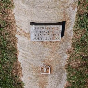 S. Davis (grave)