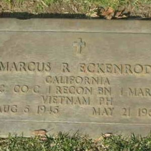 M. Eckenrode (grave)