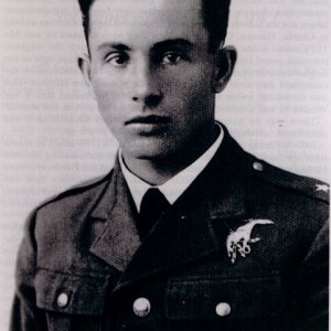 M. Wodzicki
