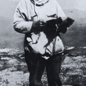 P. McVeigh