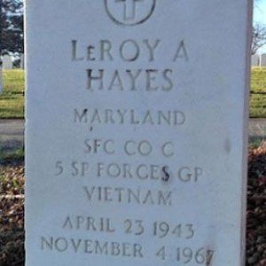 L. Hayes (grave)