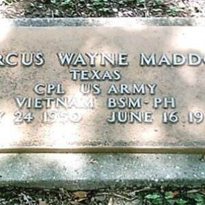M. Maddox (grave)