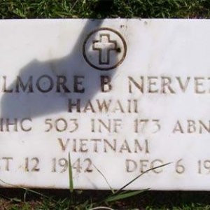 D. Nerveza (grave)