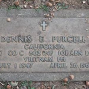 D. Purcell (grave)