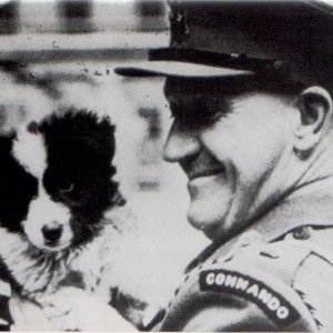 R. Courtney