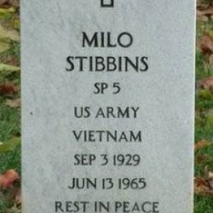 M. Stibbins (grave)