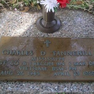 C. Tannehill (grave)