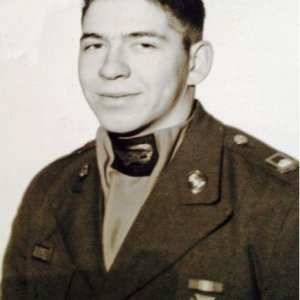 E. Taylor