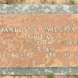 C. Wilcox (grave)