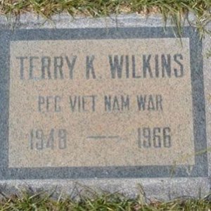 T. Wilkins (grave)
