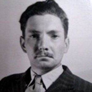 P. Amphlett