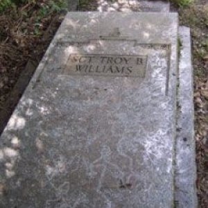 T. Williams (grave)