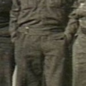 F. Jarman