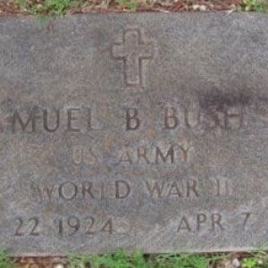 Samuel B. Bush (grave)