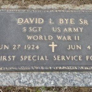 David L. Bye (grave)