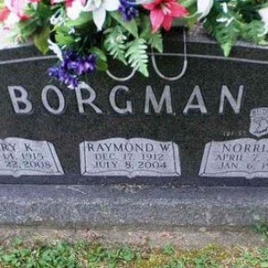 N. Borgman (grave)