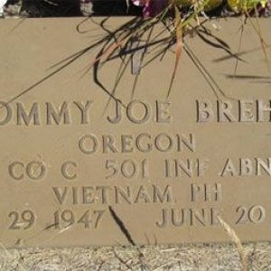 T. Brehm (grave)