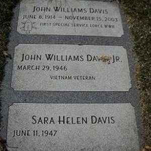 John W. Davis (grave)