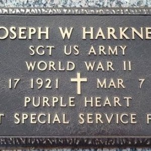 Joseph W. Harkness (grave)