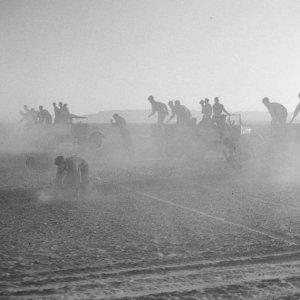 L Detachment SAS training