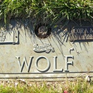 Walter Wolf (grave)