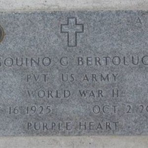Pasquino G. Bertolucci (grave)