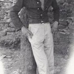 D. Lauritano