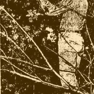 W. Anderson