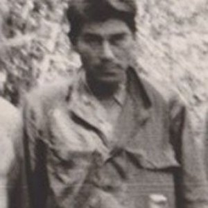 N. Janis