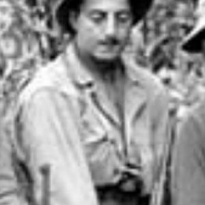 D. Perrone