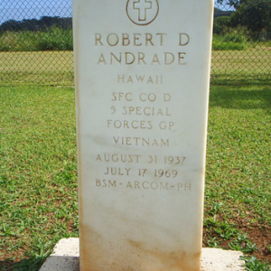 R. Andrade (grave)